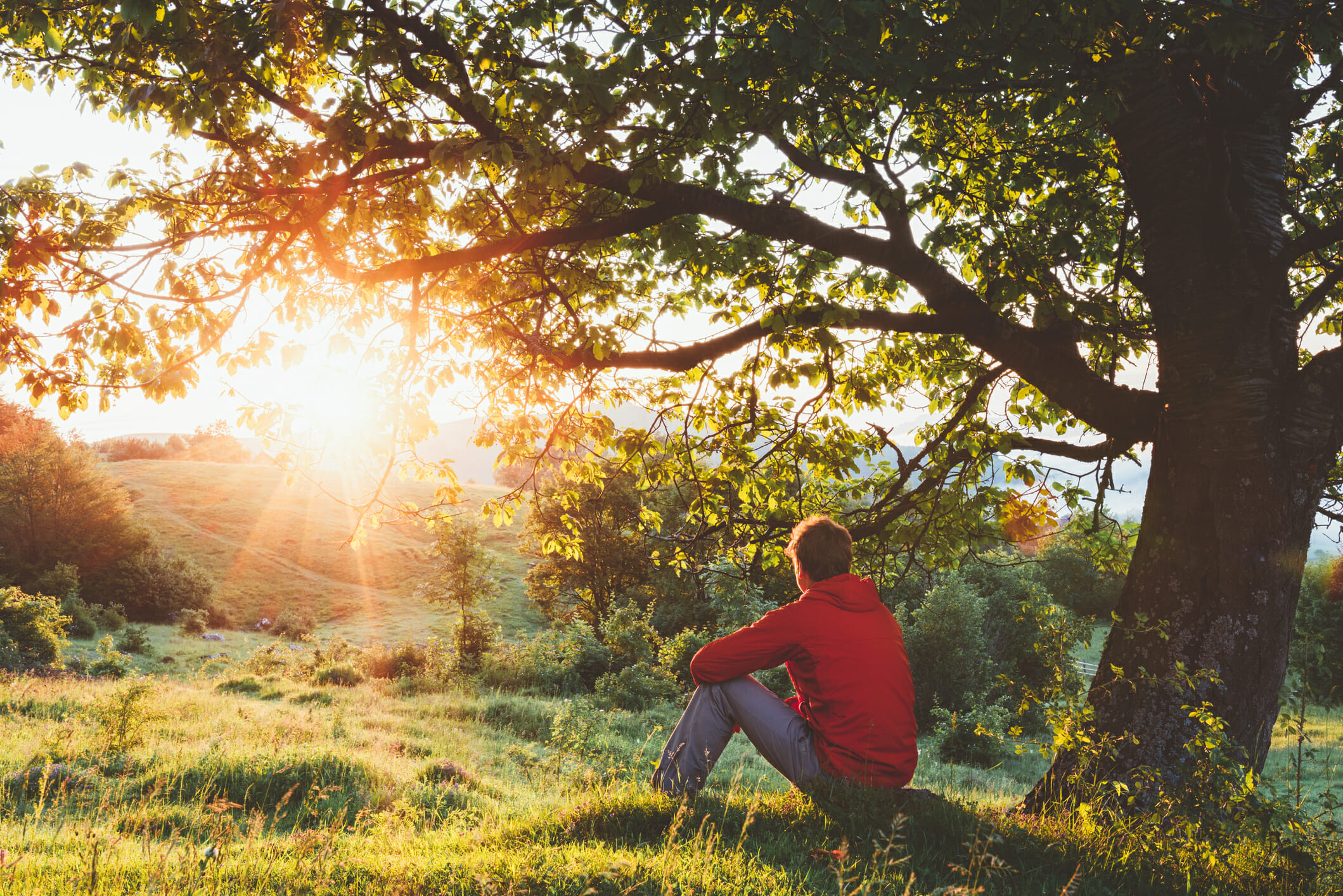 Man sitting outdoor under a tree and admiring the sunrise. Photo by AlexSava/iStockPhoto.com