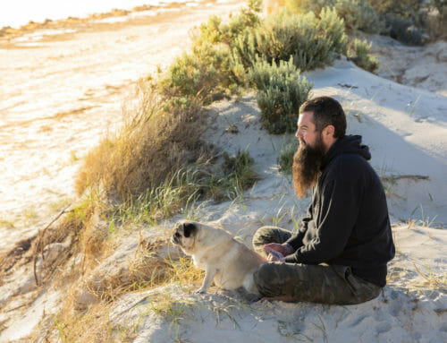 Getting Back on the Right Track in New Zealand