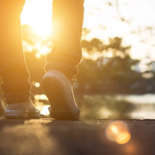 Sunny day